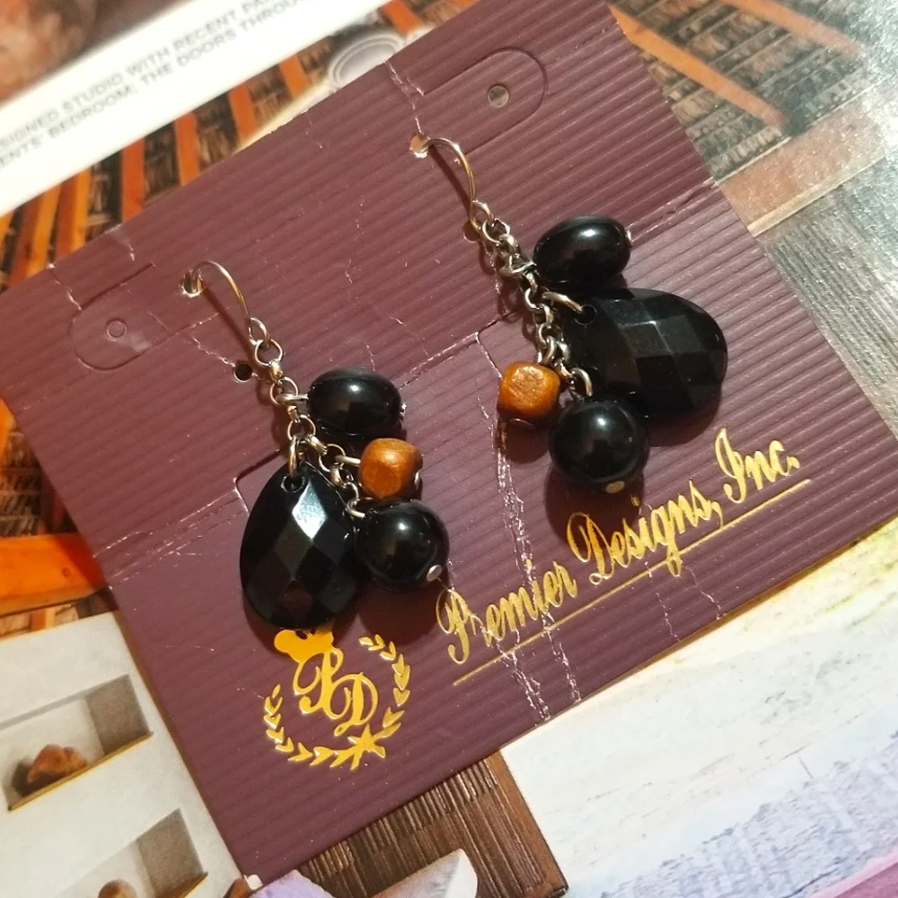 NWT Premier Designs Wood and Acrylic Bead Dangle Earrings - Picture 3 of 7